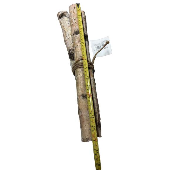 Birch Wood Log Bundle Holiday Set Of 3 (16 Inches) Ashland Floral Arranging - Picture 9 of 9
